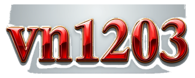 vn1203 logo